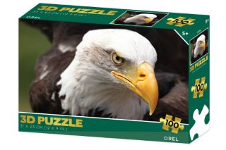 Obrázek z Puzzle 3D - Orel 100 dílků 
